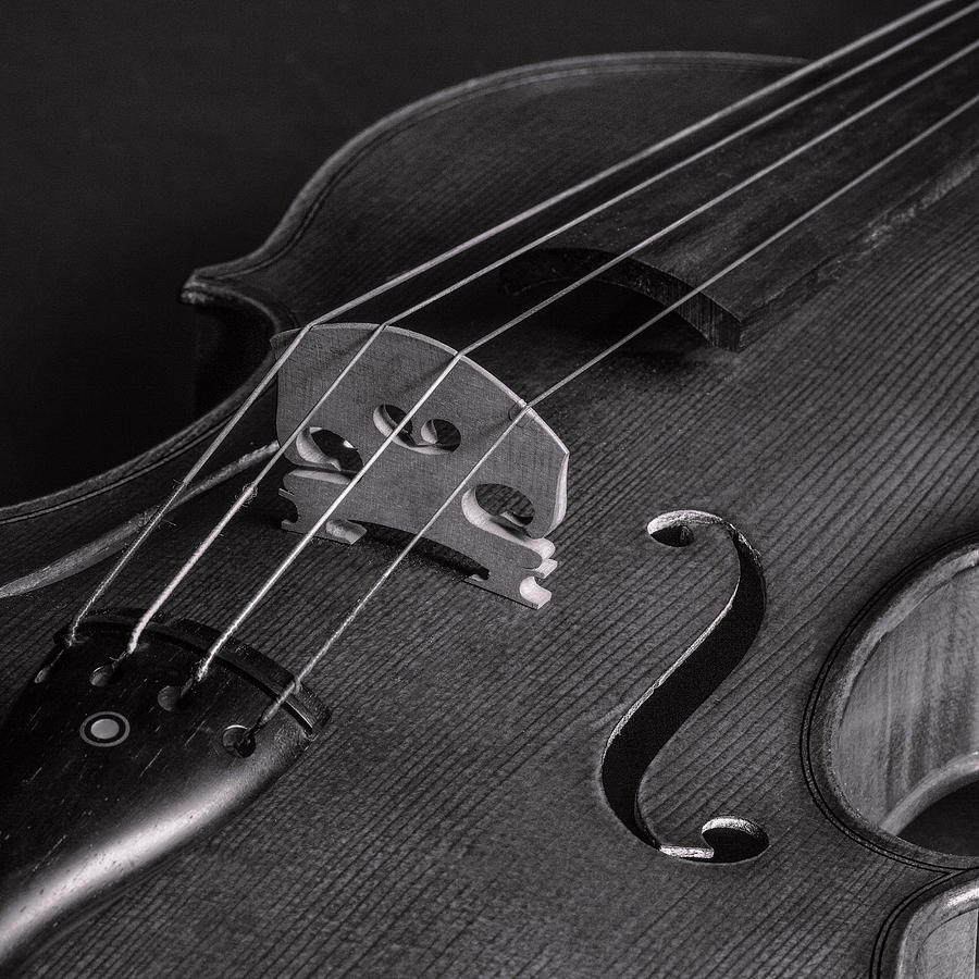 Antique Violin 1732.78 Photograph by M K Miller