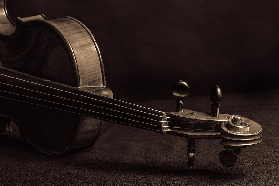 Antique Violin 1732.79 Photograph by M K Miller