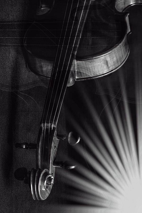 Antique Violin 1732.81 Photograph by M K Miller