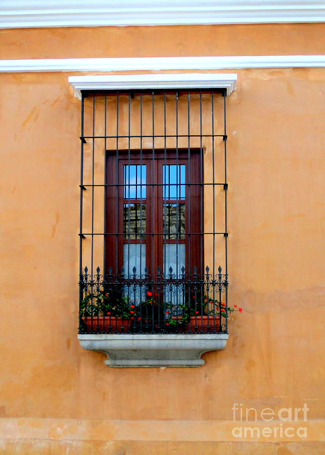 Antigua Window 5 Photograph by Randall Weidner