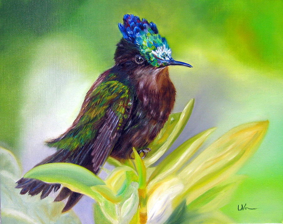 Hummingbird Painting - Antillean Crested Hummingbird by LaVonne Hand