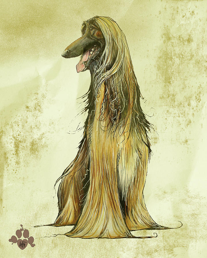 Antique Afghan Hound Drawing by John LaFree