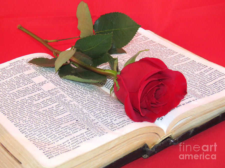 Antique Bible with Rose Photograph by Sharon Weiss - Fine Art America