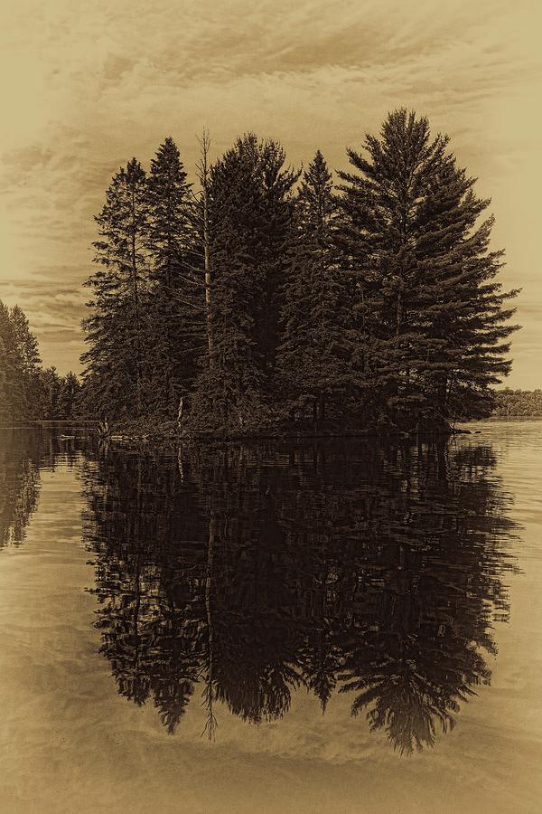 Antique Boom Lake Pines Photograph by Dale Kauzlaric