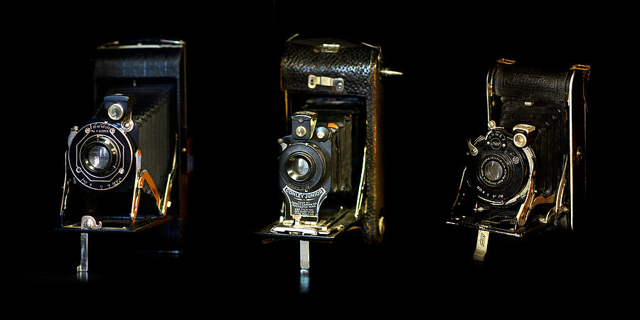 Antique Cameras Photograph by Lisa Lambert-Shank