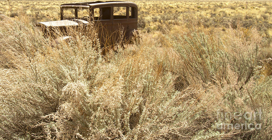 Antique Car in Grasses Photograph by Karen Foley