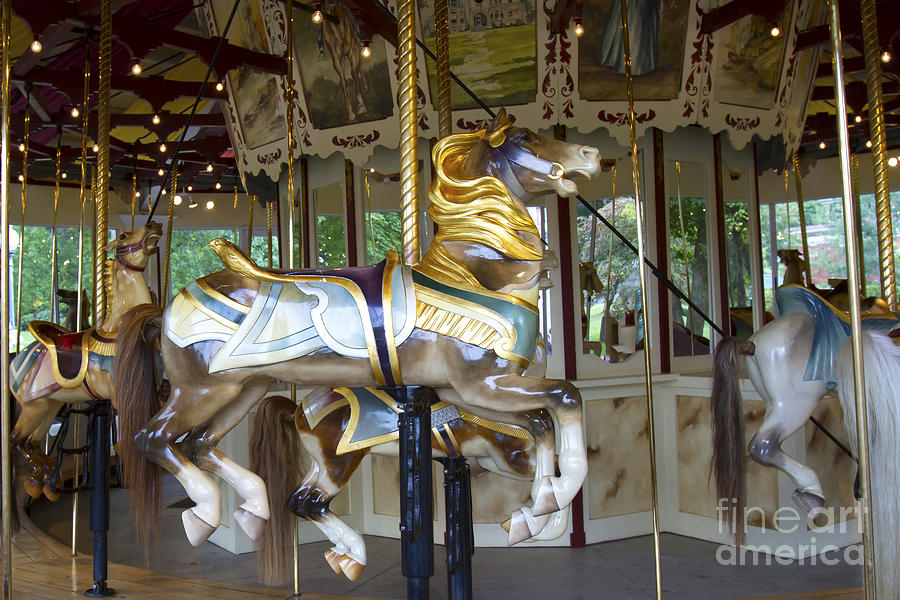 Antique Carousel Horse Photograph by Karen Foley