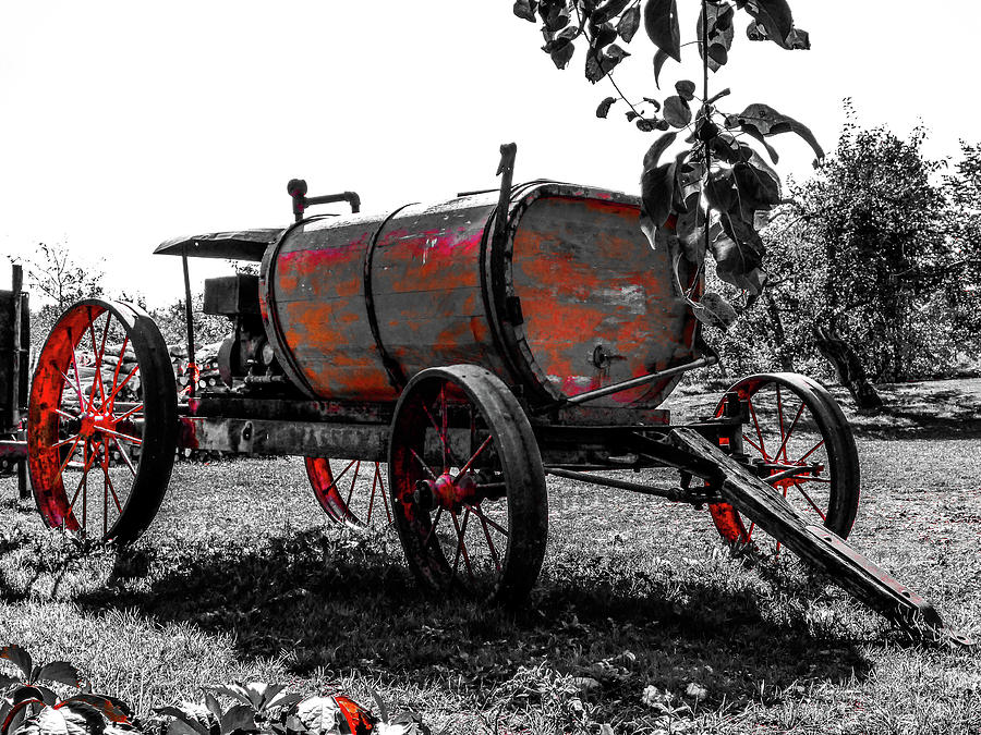 Antique carriage with sprayer pump Photograph by Cristina Stefan