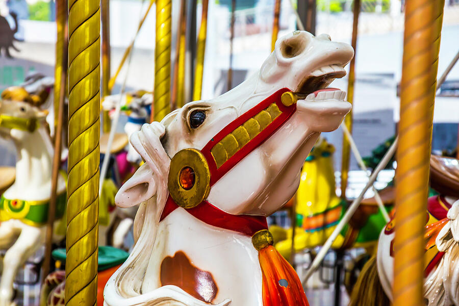 Antique Carrousel Horse Ride Photograph by Garry Gay