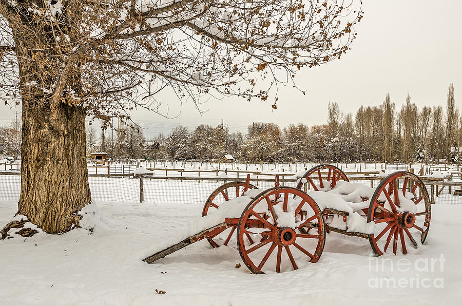 Antique Cart with Snow Photograph by Sue Smith