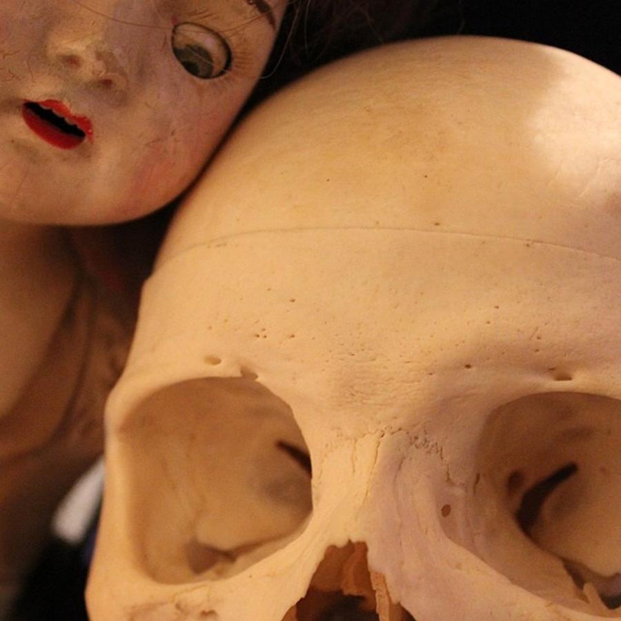 Skull Photograph - Antique Composition Sleepy Eyed Doll by A Teensy Space In Hell