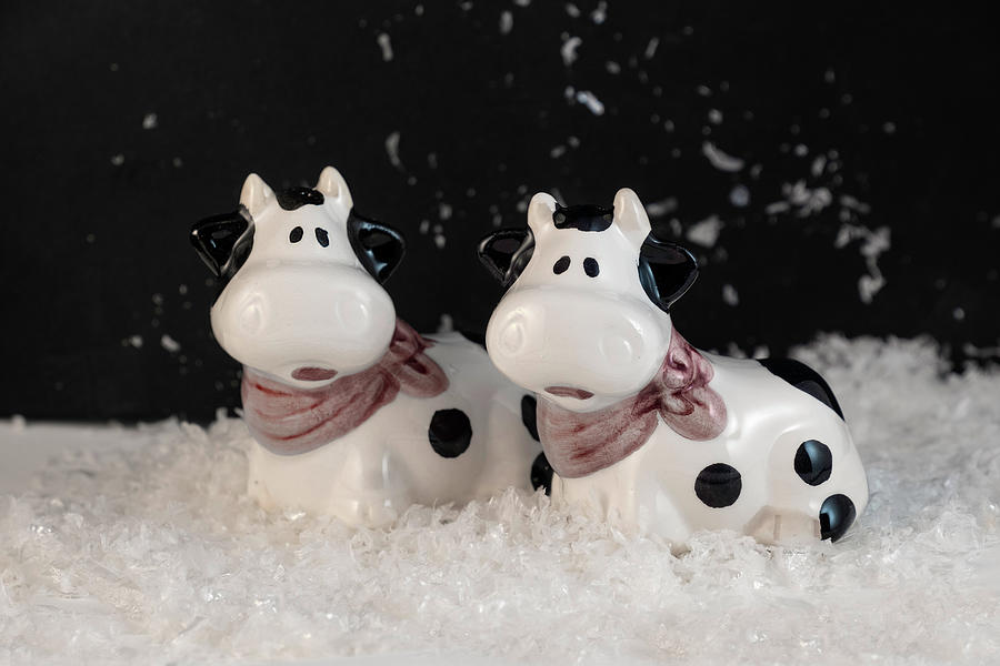 Vintage Cow Salt and Pepper Shakers