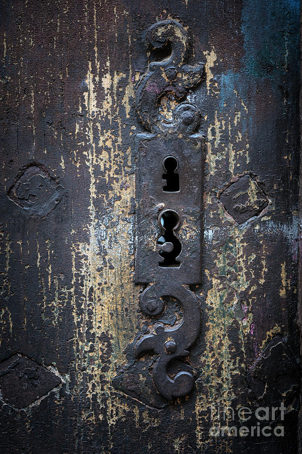 Antique door lock detail Photograph by Elena Elisseeva