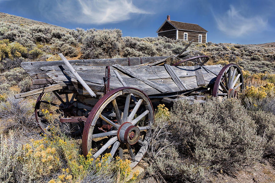 Antique Farm Wagon in Wyoming Photograph by Kathleen Bishop