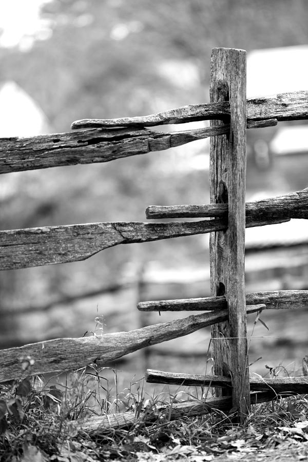 Antique Fence Post Photograph By Michael Joseph Cunningham   Antique Fence Post Michael Joseph Cunningham 