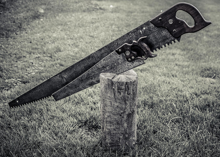Antique Hand Saws in a stump - BW Photograph by Chris Bordeleau