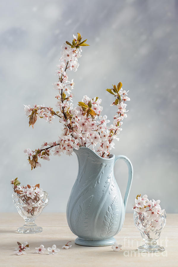 Vintage Photograph - Antique Jug With Blossom by Amanda Elwell