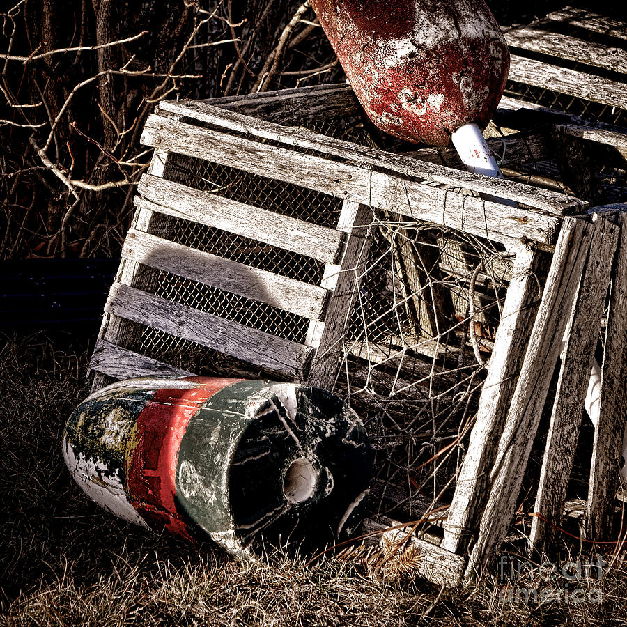 Antique Maine Lobster Trap  Photograph by Olivier Le Queinec