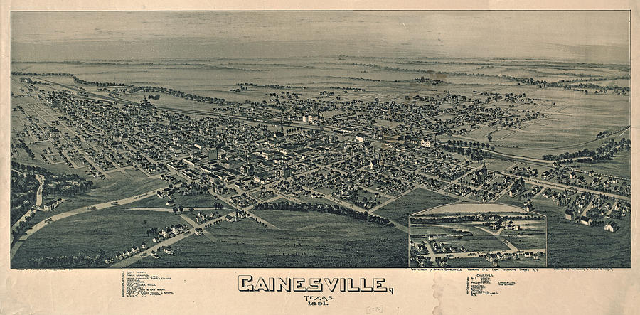 Bird's Eye View 1891 Asheville North Carolina Vintage Style City Map 20x28 
