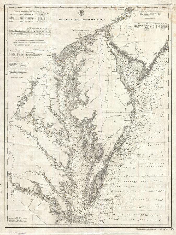 Vintage Drawing - Antique Maps - Old Cartographic maps - Antique Survey Map of the Delaware and Chesapeake bays, 1893 by Studio Grafiikka