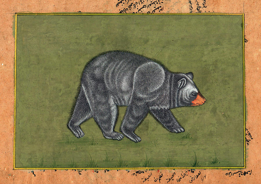 Antique Miniature Painting Artwork Art Gallery Animal American black bear INDIA Painting by A K Mundra