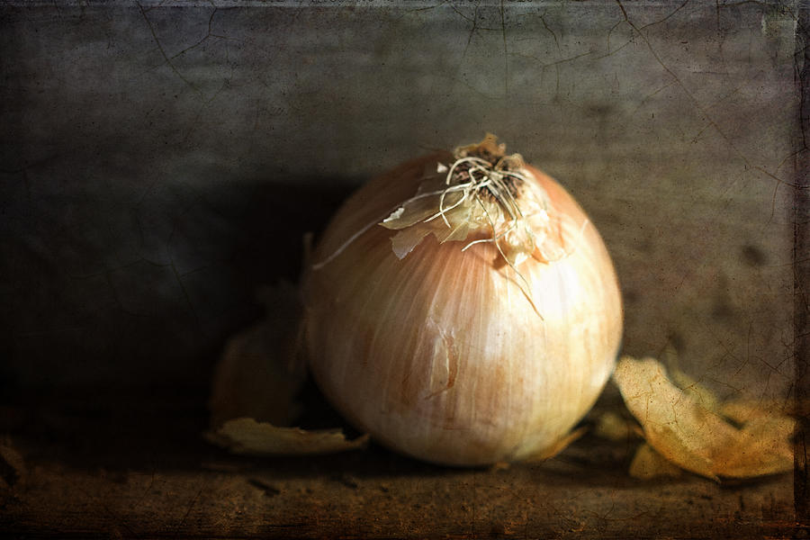 Antique Onion Digital Art by Terry Davis