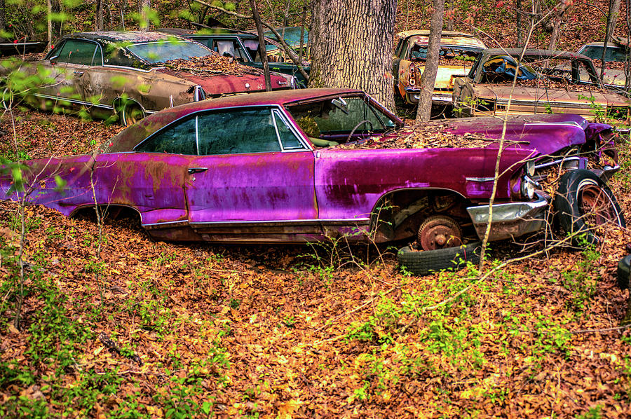 Antique Plum Automobile Decaying Photograph by Douglas Barnett