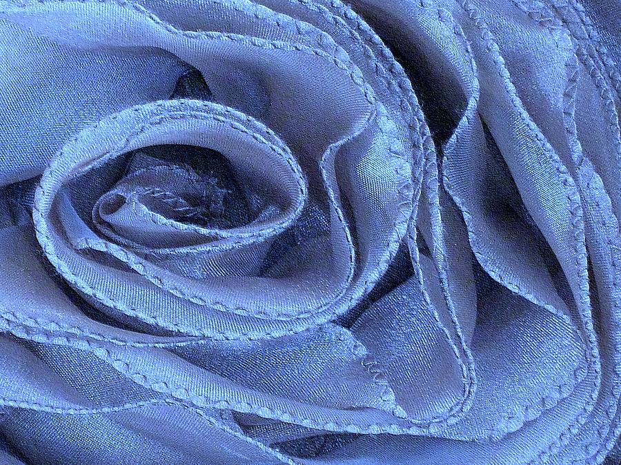 Antique Rose in Blue Photograph by Carolyn Jacob
