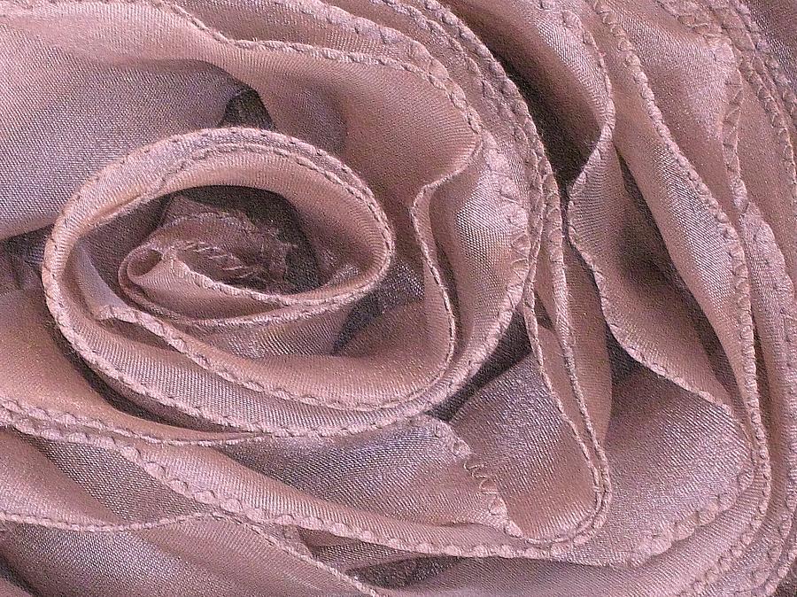 Antique Rose in Pink Photograph by Carolyn Jacob