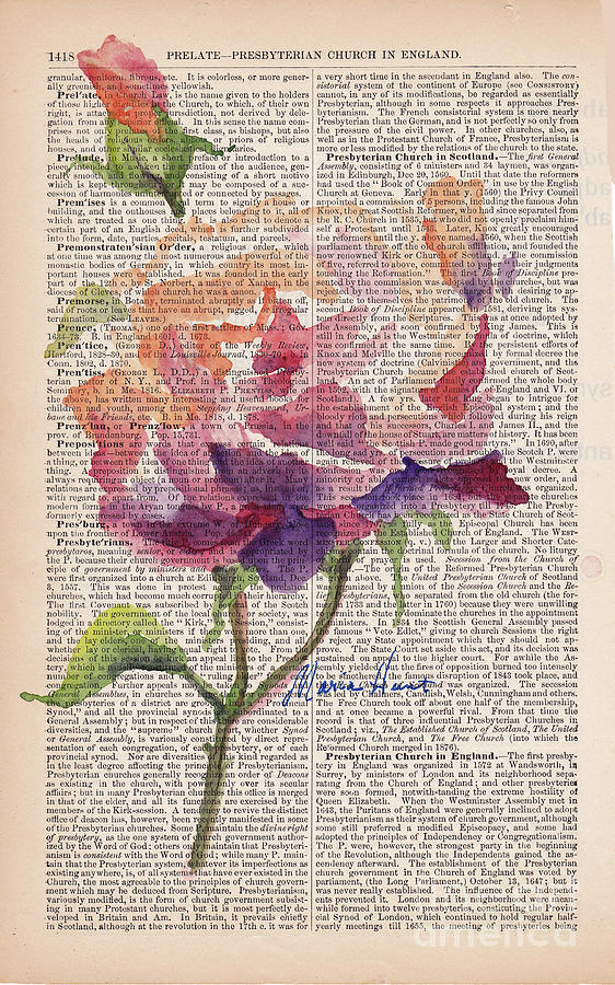Antique Rose On Antique Paper Painting by Maria Hunt