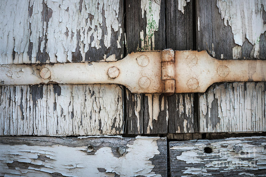 Antique shutter detail Photograph by Elena Elisseeva