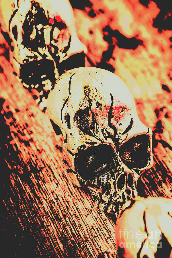 Antique skull scene Photograph by Jorgo Photography