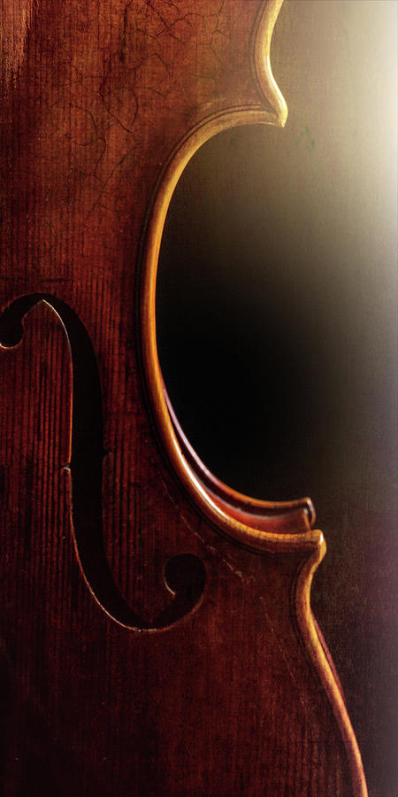  Antique Violin 1732.01 Photograph by M K Miller