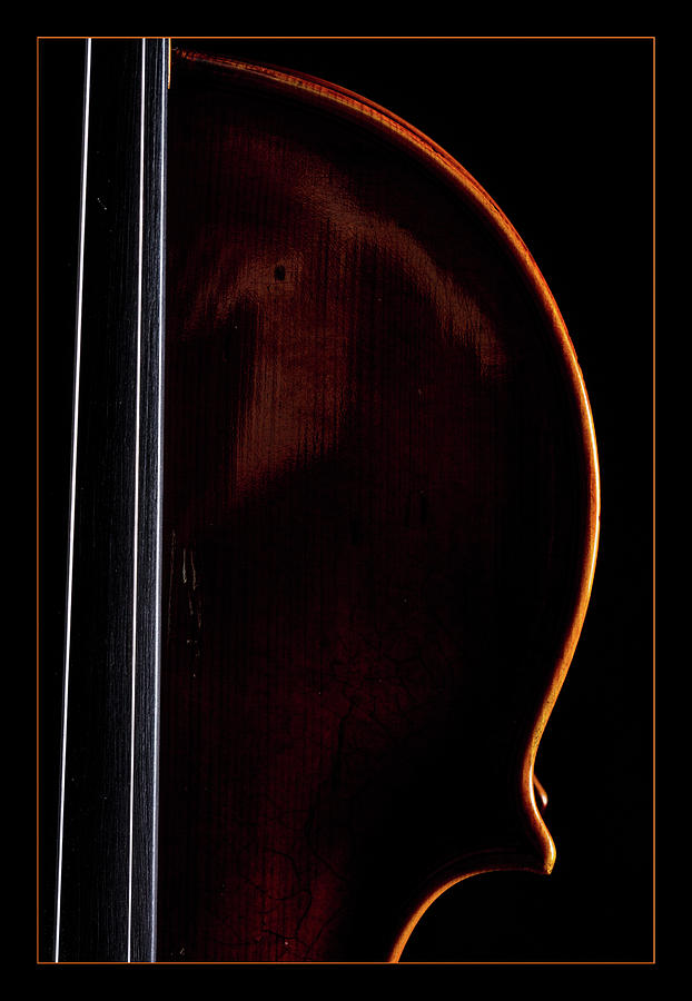  Antique Violin 1732.03 Photograph by M K Miller