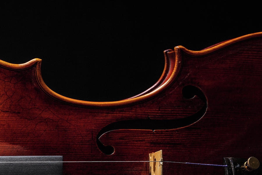  Antique Violin 1732.07 Photograph by M K Miller