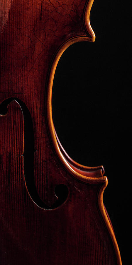  Antique Violin 1732.08 Photograph by M K Miller