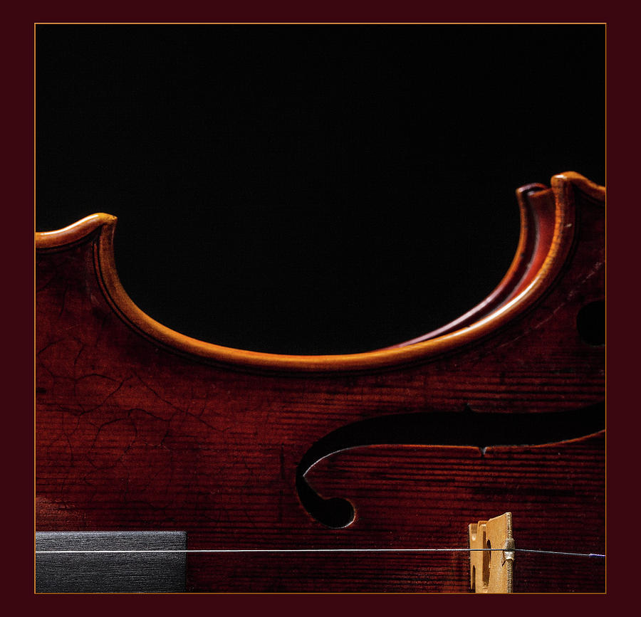  Antique Violin 1732.09 Photograph by M K Miller