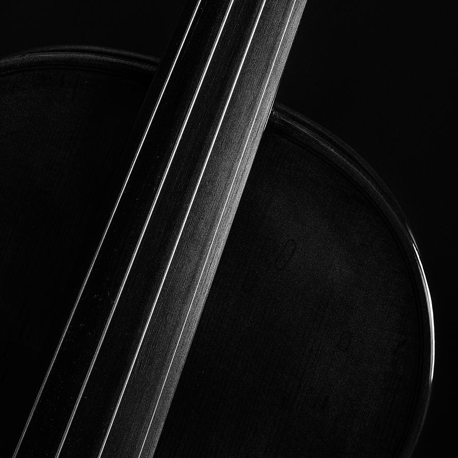  Antique Violin 1732.11 Photograph by M K Miller