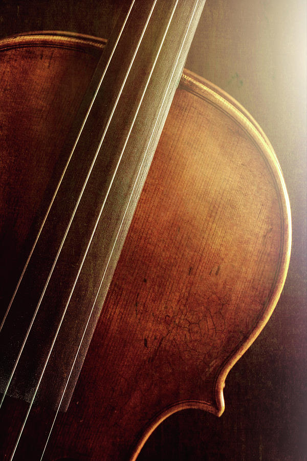  Antique Violin 1732.12 Photograph by M K Miller