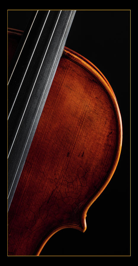  Antique Violin 1732.13 Photograph by M K Miller