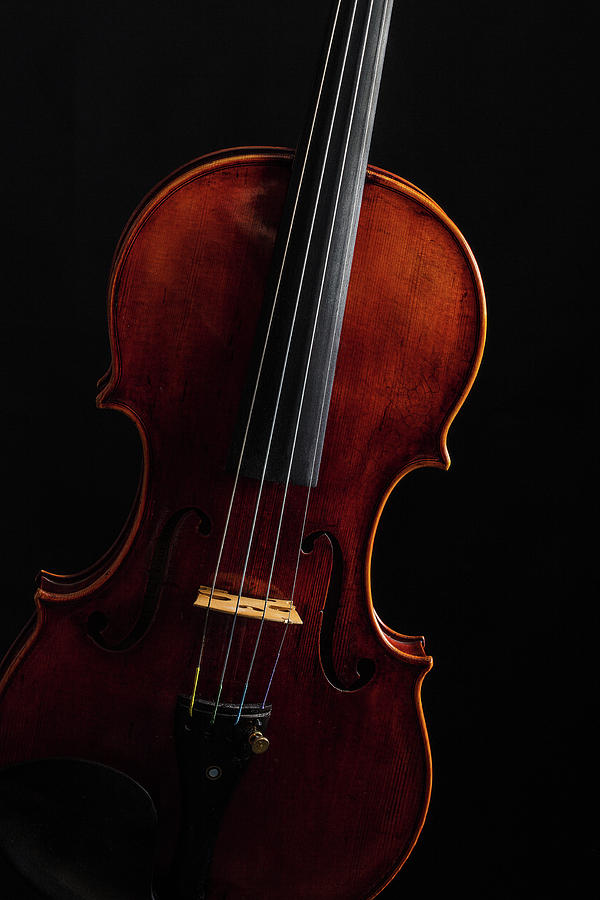  Antique Violin 1732.16 Photograph by M K Miller