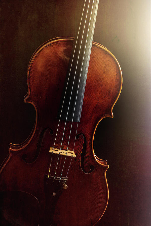  Antique Violin 1732.17 Photograph by M K Miller