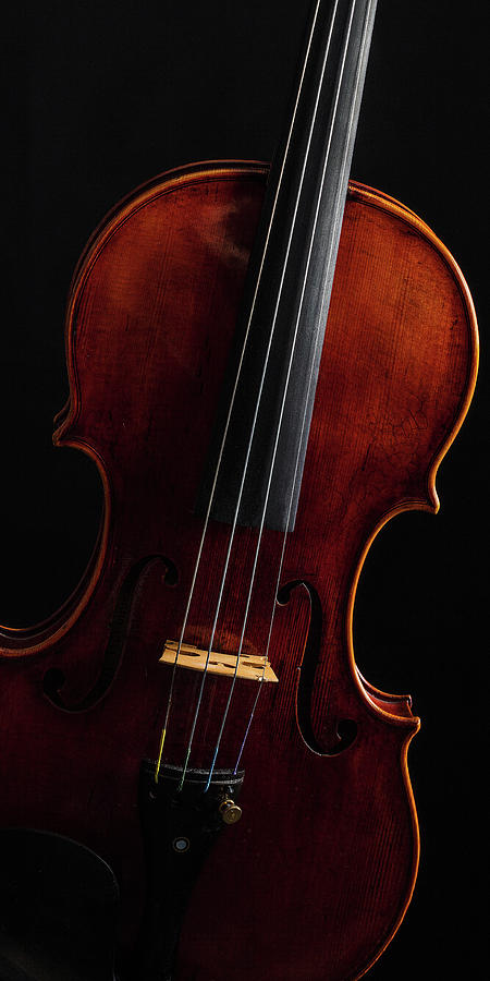  Antique Violin 1732.18 Photograph by M K Miller
