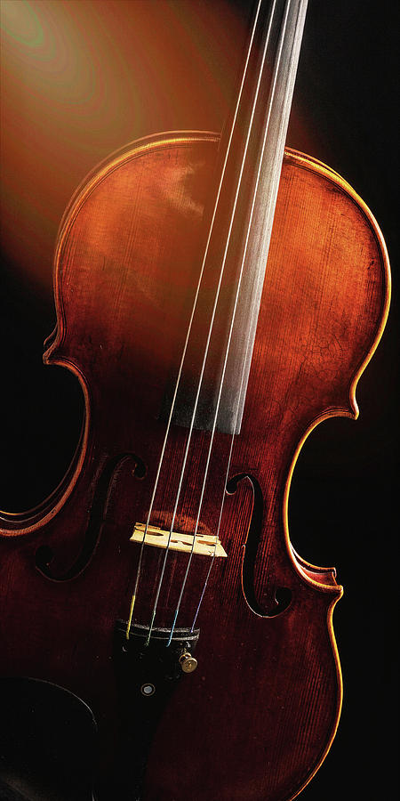 Antique Violin 1732.19 Photograph by M K Miller
