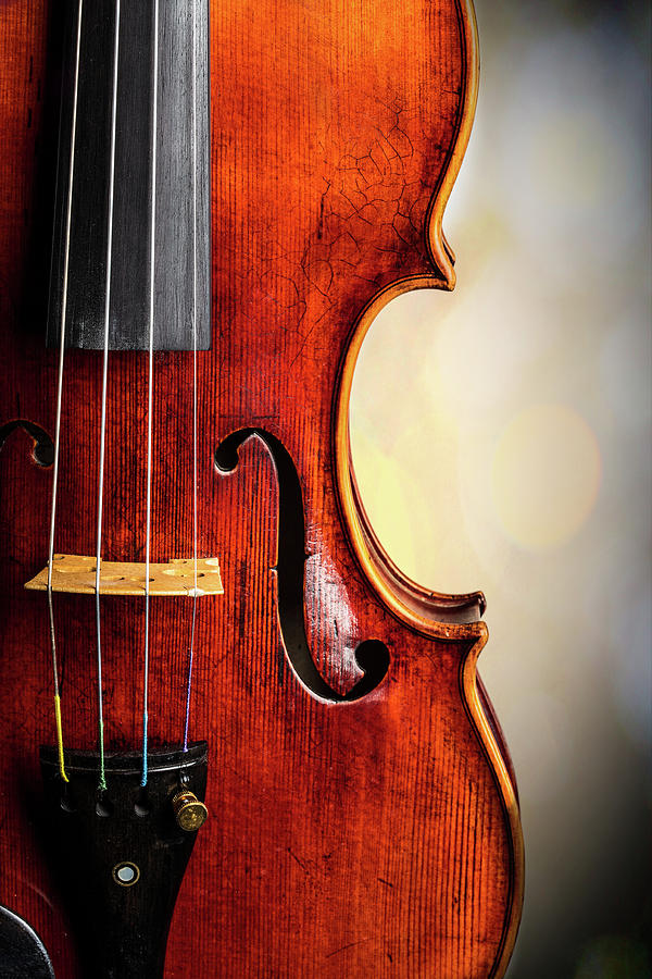  Antique Violin 1732.23 Photograph by M K Miller