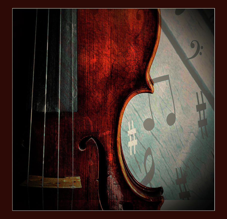  Antique Violin 1732.25 Photograph by M K Miller
