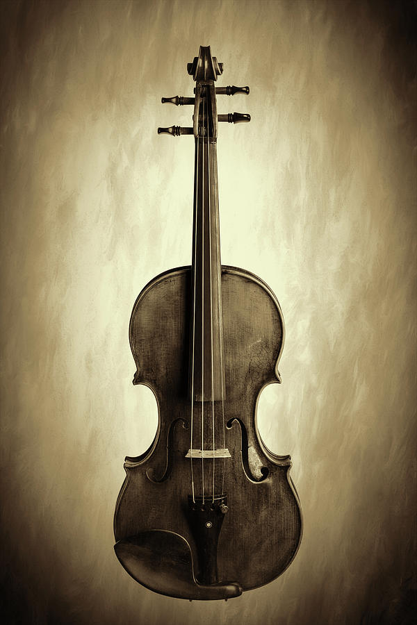  Antique Violin 1732.27 Photograph by M K Miller