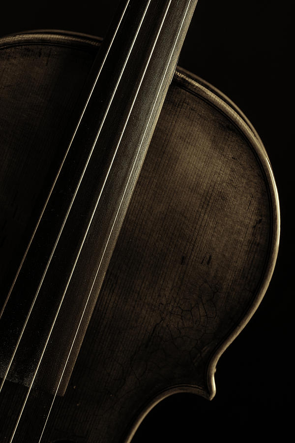  Antique Violin 1732.30 Photograph by M K Miller