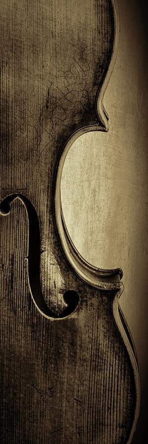  Antique Violin 1732.33 Photograph by M K Miller