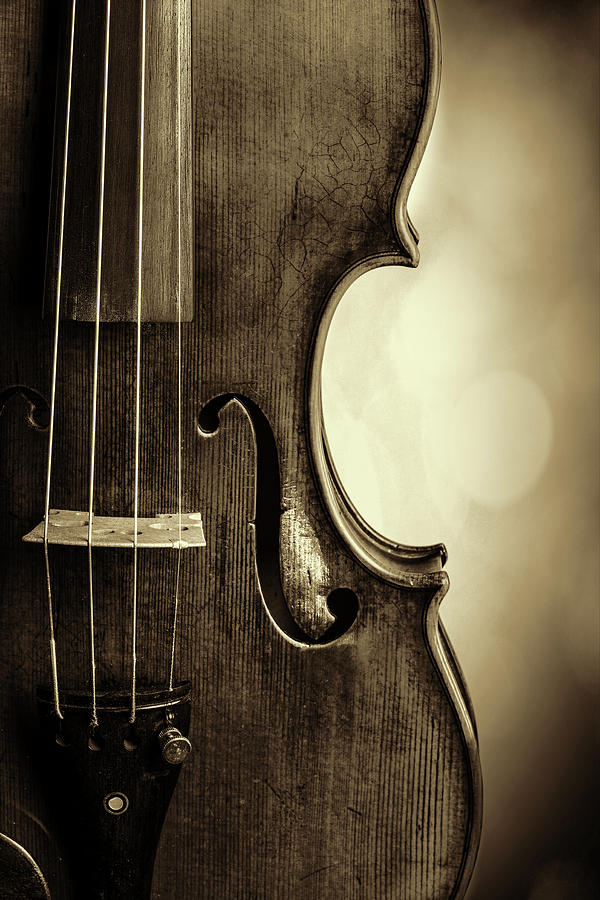  Antique Violin 1732.34 Photograph by M K Miller